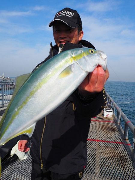 四季の釣りロケ〜サビキで釣ったマイワシで青物狙い in とっとパーク小島【角田裕介氏連載記事浮きアオリイカ釣り 第18弾】