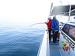 遊漁船 未紗奈 釣果