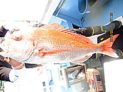 遊漁船 未紗奈 釣果