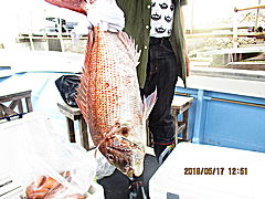 遊漁船 未紗奈 釣果