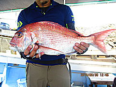 遊漁船 未紗奈 釣果