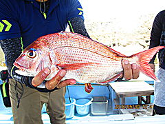 遊漁船 未紗奈 釣果
