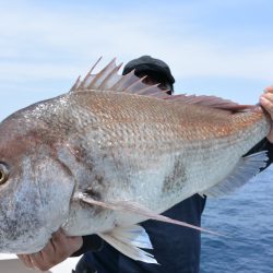 ジギング船 BLUEWATER 釣果