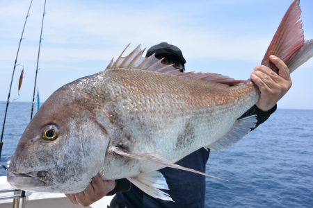 ジギング船 BLUEWATER 釣果