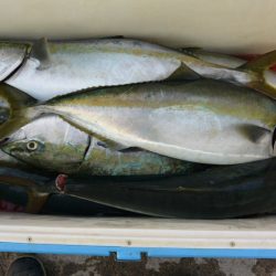 ジギング船 BLUEWATER 釣果