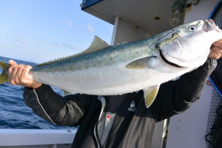 ジギング船 BLUEWATER 釣果