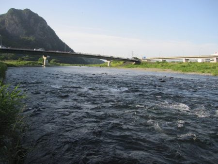 狩野川(狩野川漁業協同組合) 釣果