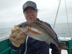 増福丸 釣果