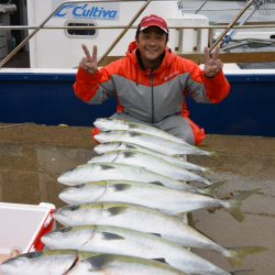 ジギング船 BLUEWATER 釣果