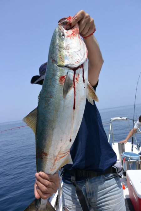 ジギング船 BLUEWATER 釣果