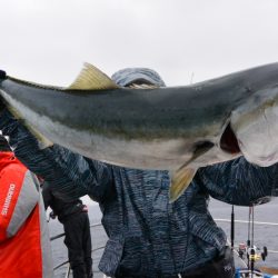 ジギング船 BLUEWATER 釣果