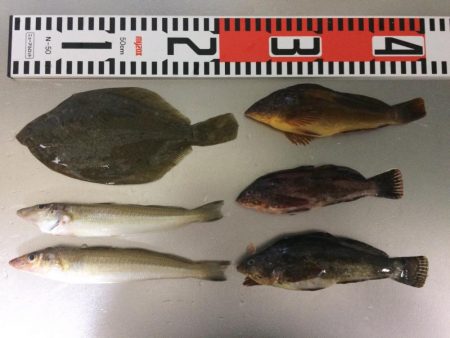 初キス釣れました〜