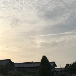 またもや家の裏で