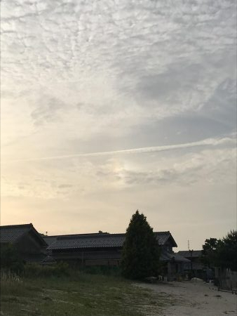 またもや家の裏で