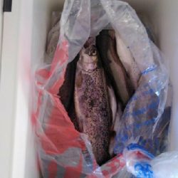 ニジマスGET！！