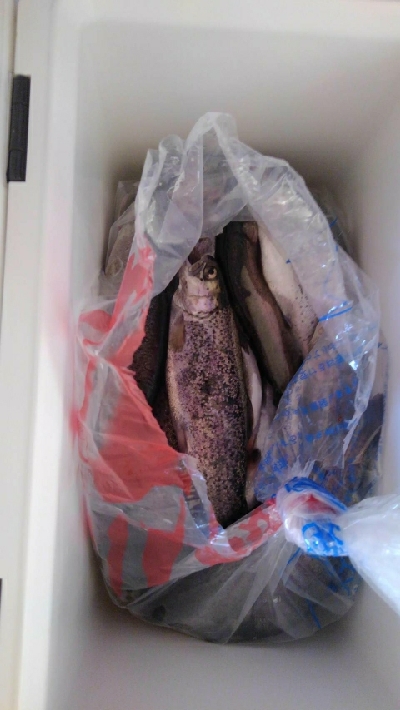 ニジマスGET！！