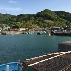 アジは釣れなかった！