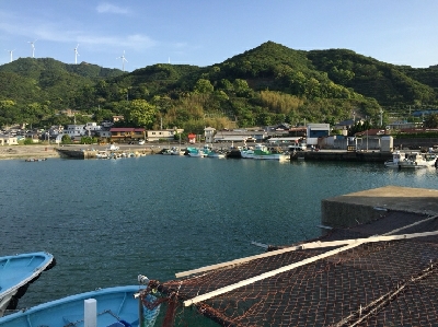 アジは釣れなかった！