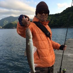 アオリ狙いが…