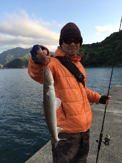 アオリ狙いが…