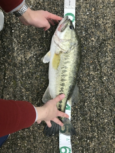 諦めかけたその時