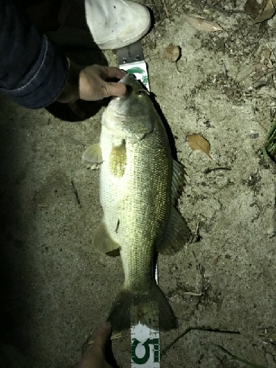 諦めかけたその時