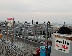 とっとパーク小島