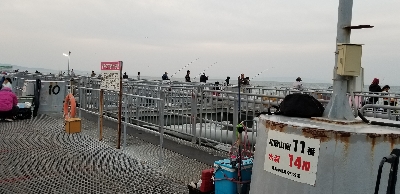 とっとパーク小島