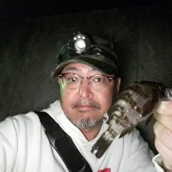 数釣りなら、楽しめる