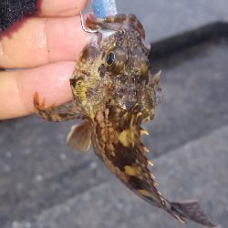 やっぱり大雨に…