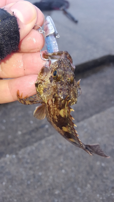 やっぱり大雨に…