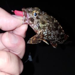 神戸港ランガン