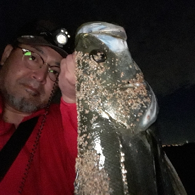 シーバスとキビレ