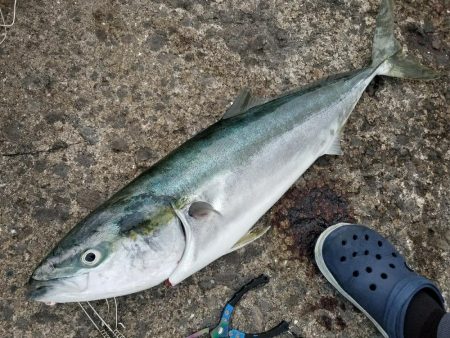 夕方のひととき