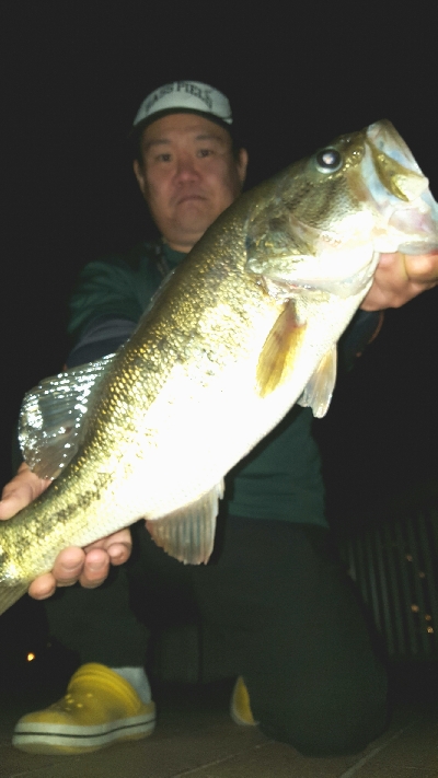 ヒっさびさの！