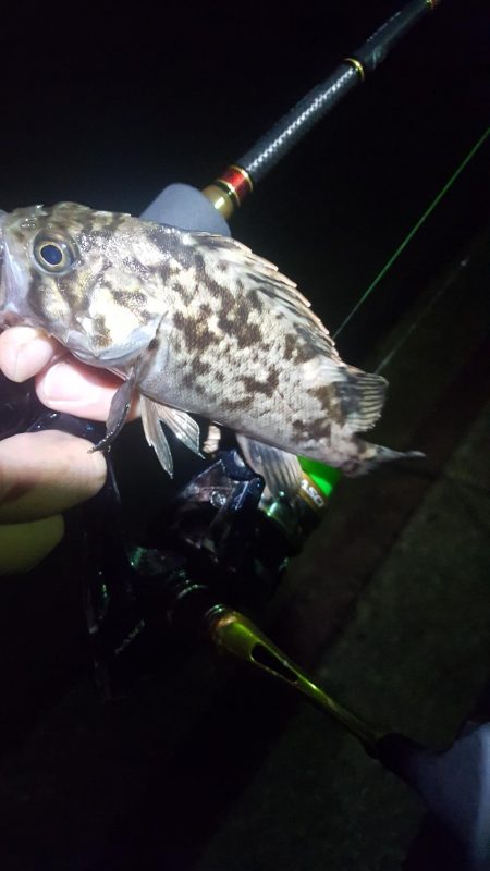 雨上がりベタ凪ぎ弱風