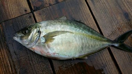 釣り堀行きました！