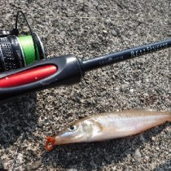 今が旬のキスゲーム