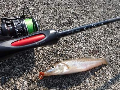 今が旬のキスゲーム