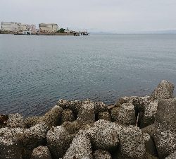 ガッシー祭り！！！