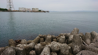 ガッシー祭り！！！