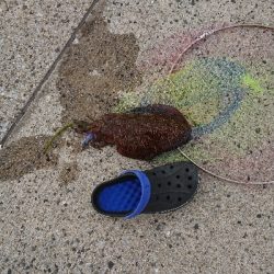 仕事終わりの短時間釣行