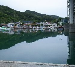 エサでアジ釣り