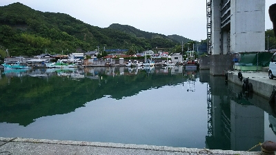 エサでアジ釣り