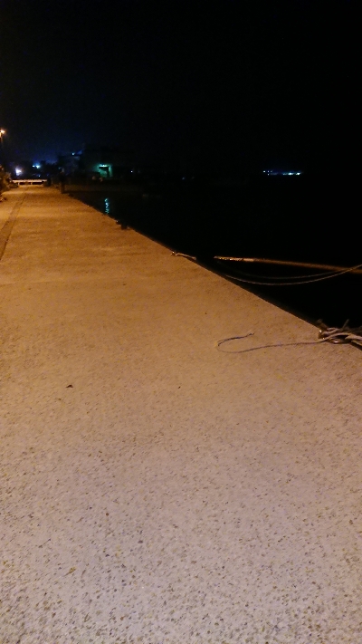 昨夜のリベンジ