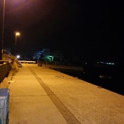 連日連夜の今宵もメバリング