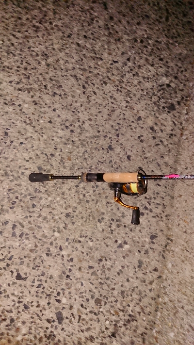 今宵もメバリング