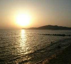 鰈なるチヌに鱚！