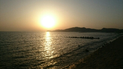 鰈なるチヌに鱚！