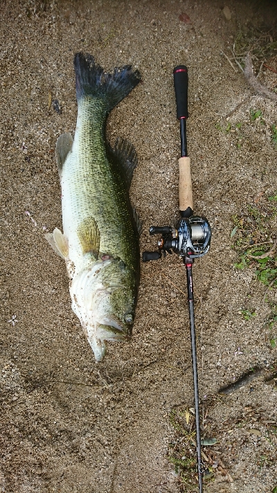 諦めかけたその時